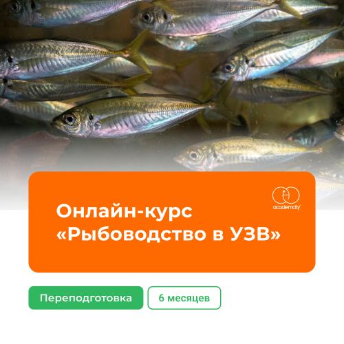 Онлайн-курс «Рыбоводство в УЗВ»