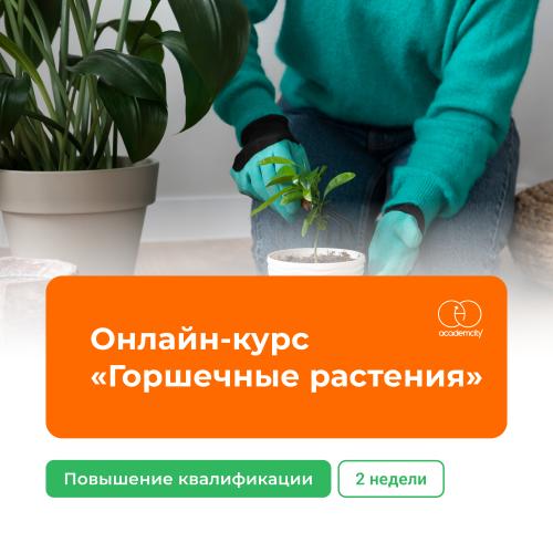 Онлайн-курс «Горшечные растения»