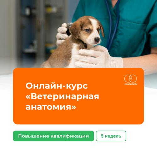 Курс «Патологическая ветеринарная анатомия и экспертиза»