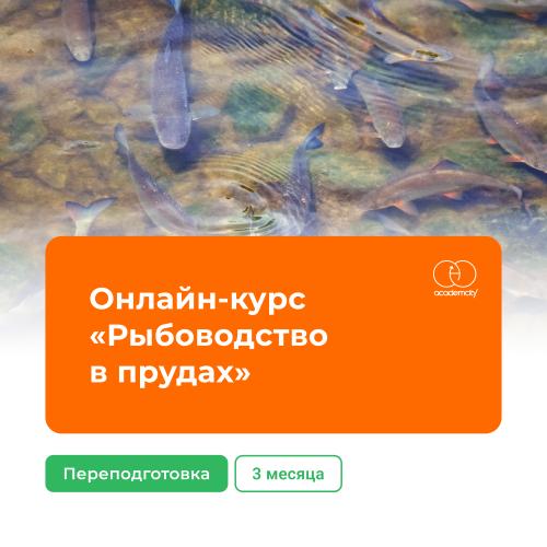 Онлайн-курс «Рыбоводство в УЗВ» (620 часов)