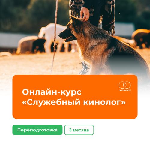Онлайн-курс «Служебный кинолог» (340 часов)