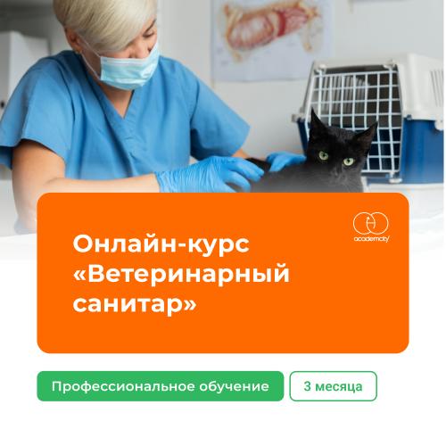 Онлайн-курс «Ветеринарный санитар» (340 часов)