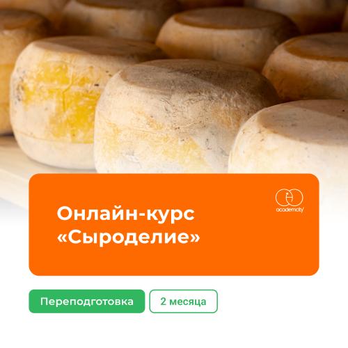Онлайн-курс «Сыроделие» (340 часов)