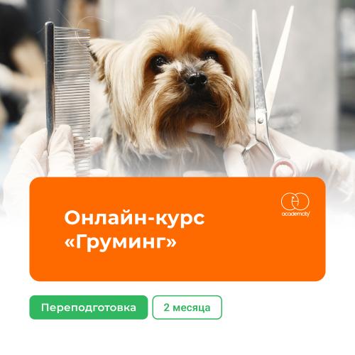 Онлайн-курс «Груминг» (340 часов)