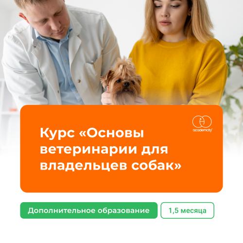 Онлайн-курс «Основы ветеринарии для владельцев собак»
