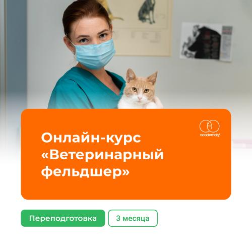 Онлайн-курс «Ветеринарный фельдшер» (460 часов)