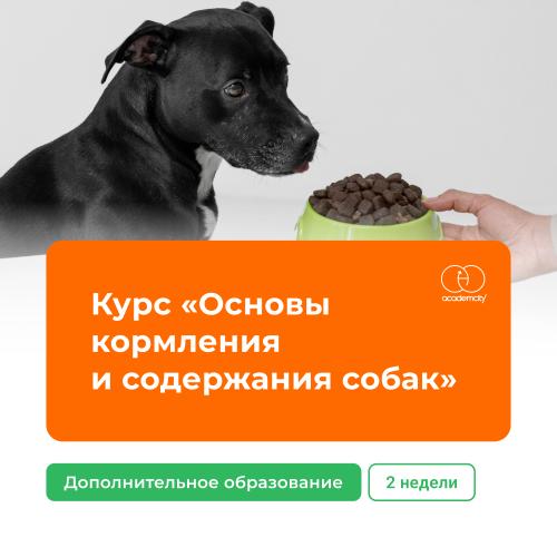 Онлайн-курс «Основы кормления и содержания собак»