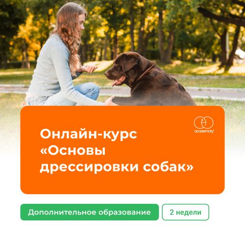 Онлайн-курс «Основы дрессировки собак» (55 часов)