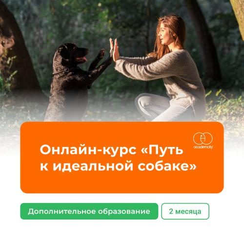 Онлайн-курс «Путь к идеальной собаке» (260 часов)