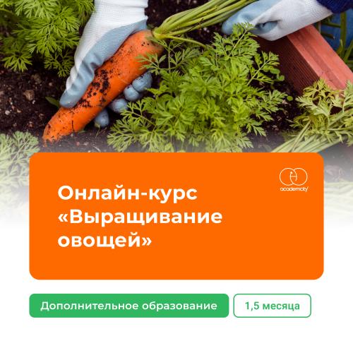 Онлайн-курс «Выращивание овощей и зелени в теплице»
