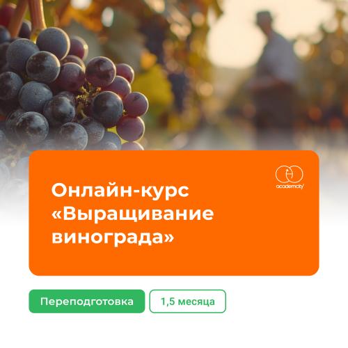 Онлайн-курс «Выращивание винограда» (260 часов)