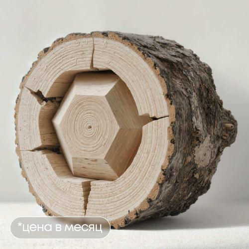 Unit-экономика и управление финансами для менеджера