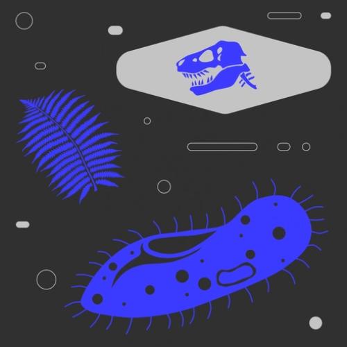 Эволюция жизни на Земле. Бесплатный курс