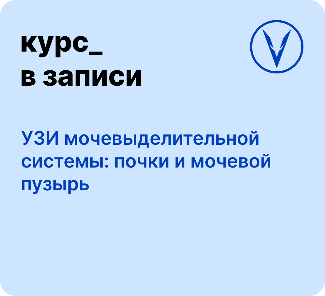 Курс: УЗИ мочевыделительной системы