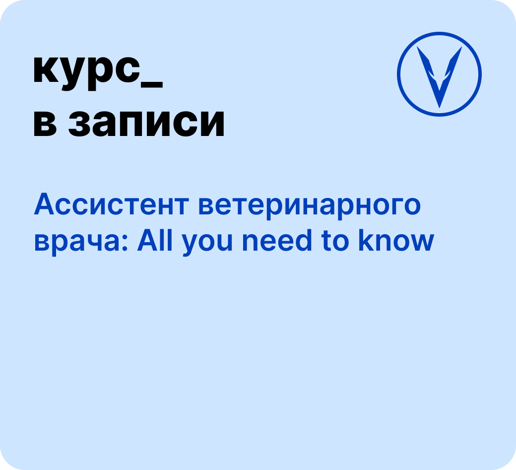 Курс: Ассистент вет. врача. All you need to know