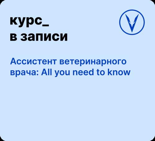 Курс: Ассистент вет. врача. All you need to know