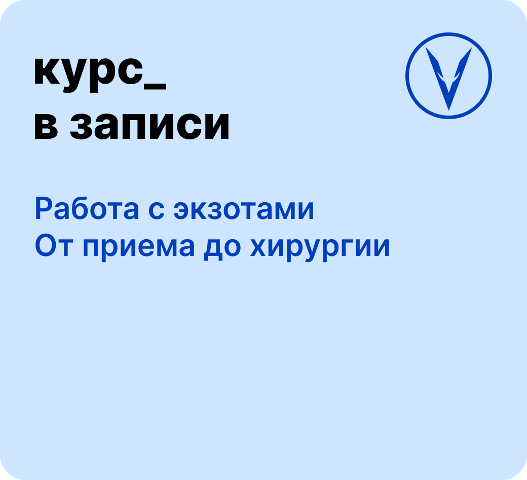 Курс: Работа с экзотами - от приема до хирургии