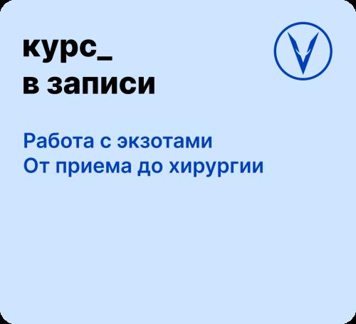 Курс: Работа с экзотами - от приема до хирургии