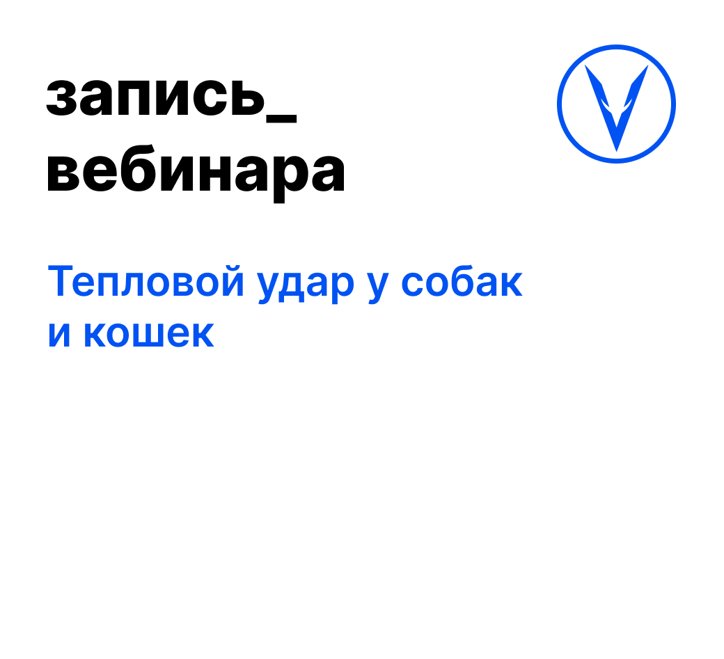 Вебинар: Тепловой удар у собак и кошек