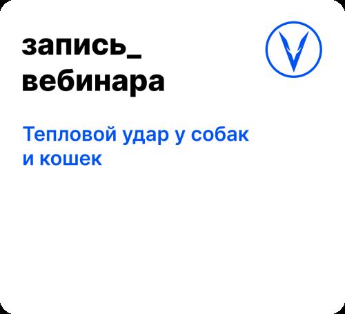 Вебинар: Тепловой удар у собак и кошек