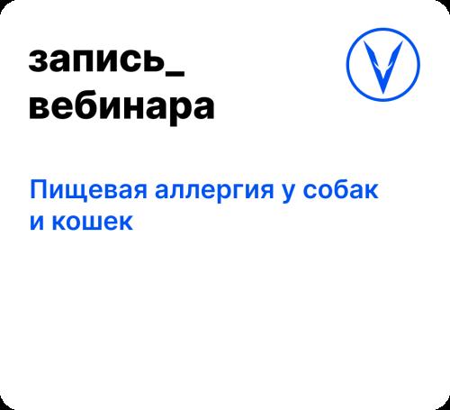 Вебинар: Пищевая аллергия у собак и кошек