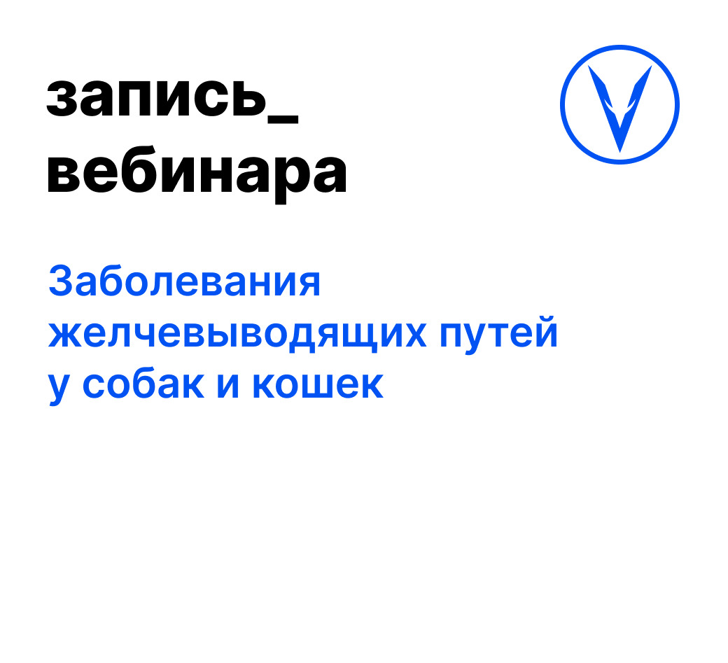 Вебинар: Заболевания желчевыводящих путей у собак и кошек
