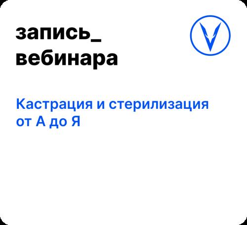 Вебинар: Кастрация и стерилизация от А до Я