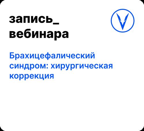 Вебинар: Брахицефалический синдром: хирургическая коррекция