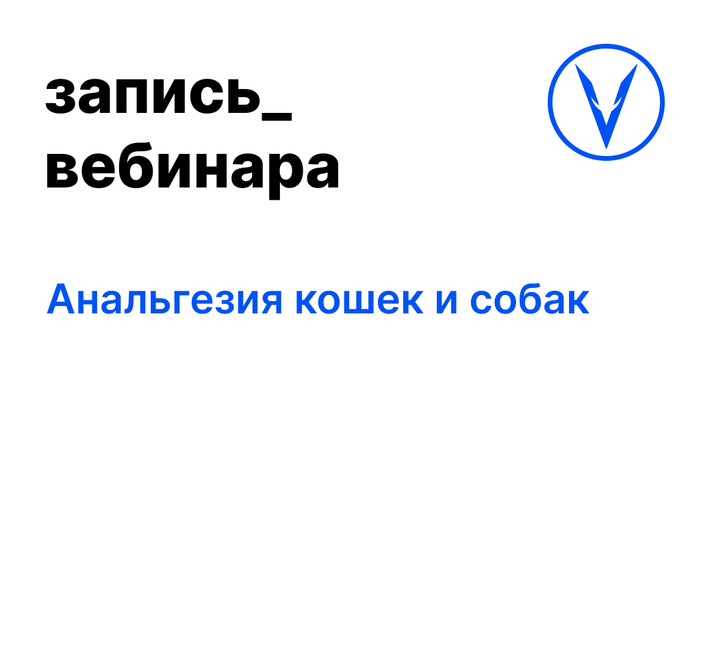 Вебинар: Анальгезия кошек и собак