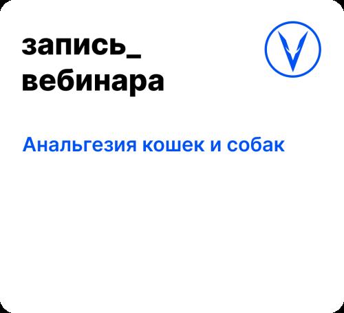 Вебинар: Анальгезия кошек и собак