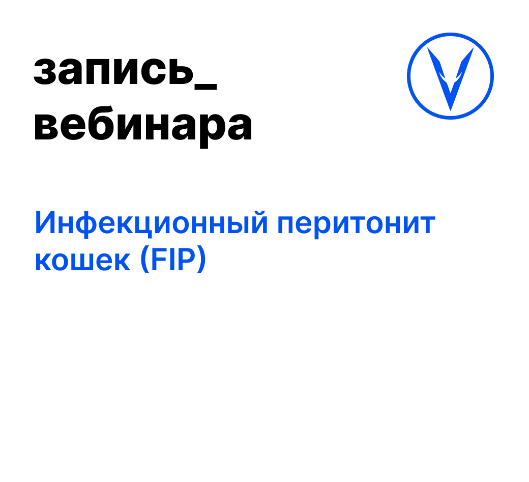 Вебинар: Инфекционный перитонит кошек (FIP)