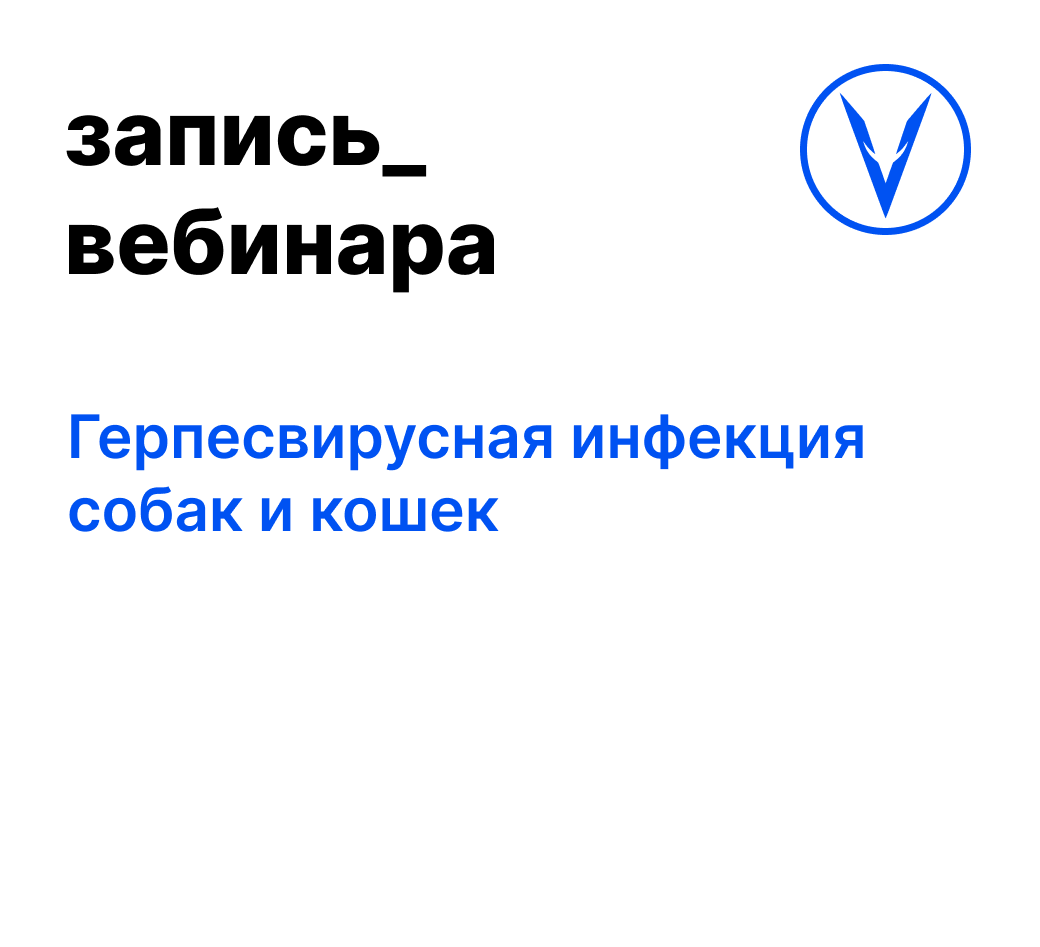 Вебинар: Герпесвирусная инфекция собак и кошек