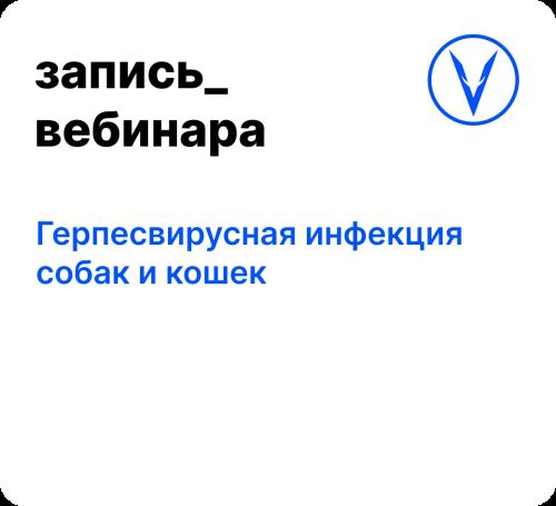 Вебинар: Герпесвирусная инфекция собак и кошек