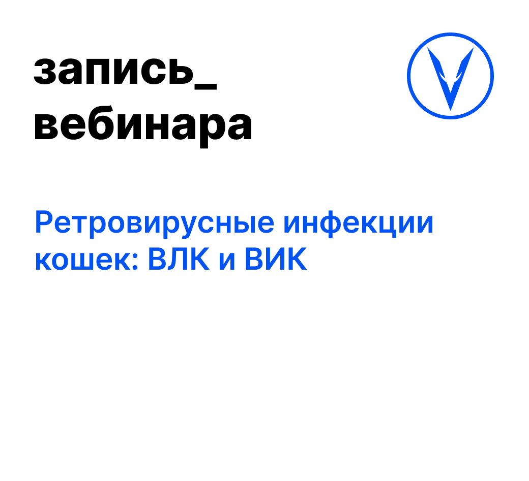 Вебинар: Ретровирусные инфекции кошек: ВЛК и ВИК