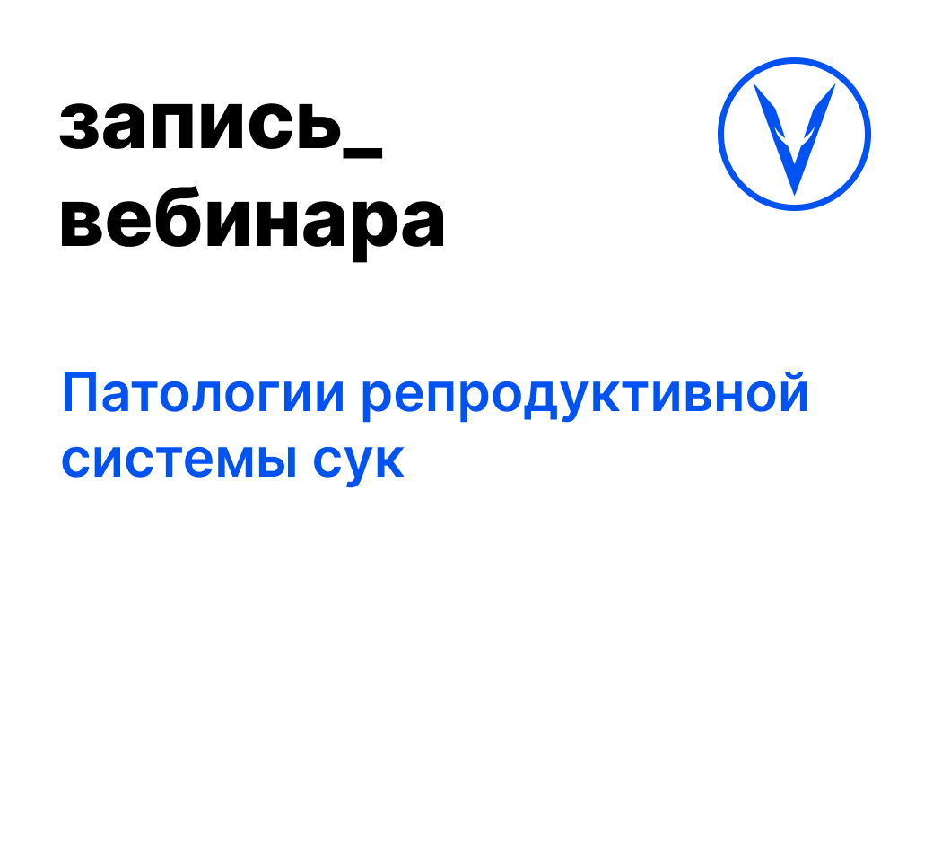 Вебинар: Патологии репродуктивной системы сук