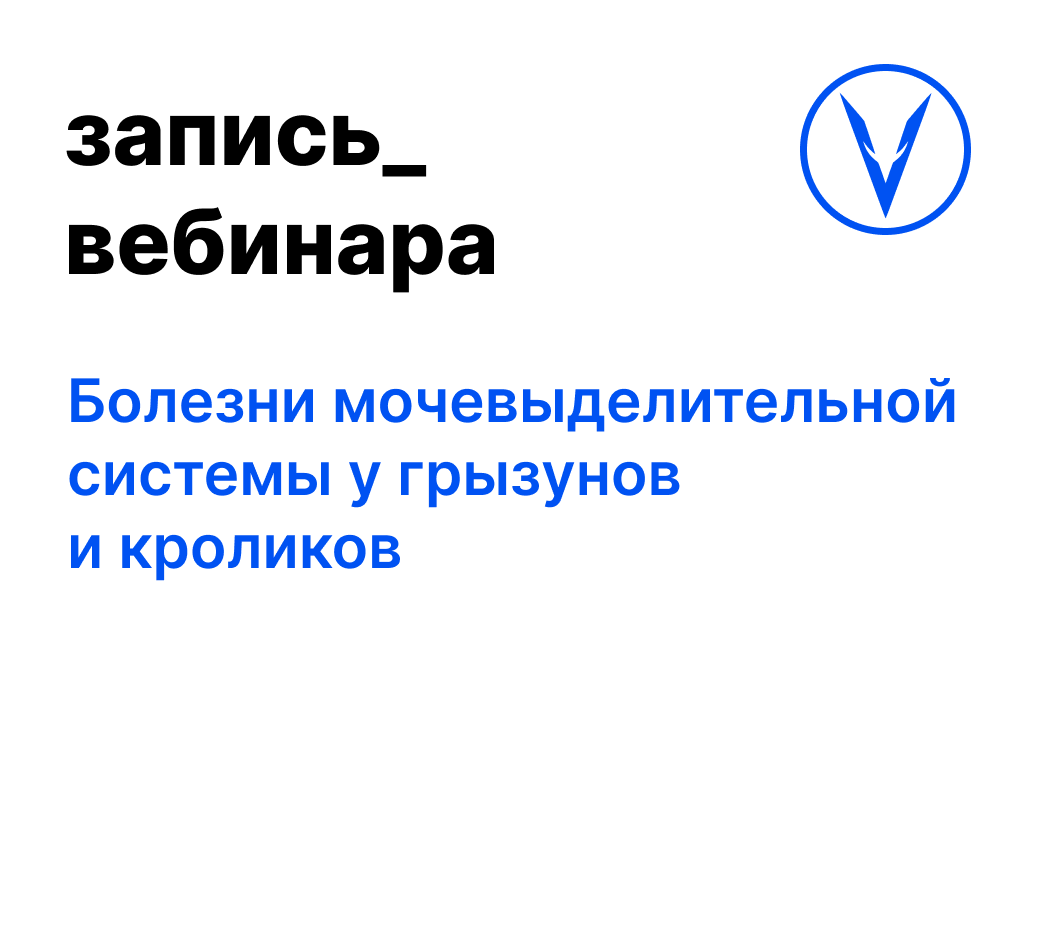 Вебинар: Болезни мочевыделительной системы у грызунов и кроликов