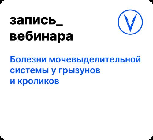 Вебинар: Болезни мочевыделительной системы у грызунов и кроликов