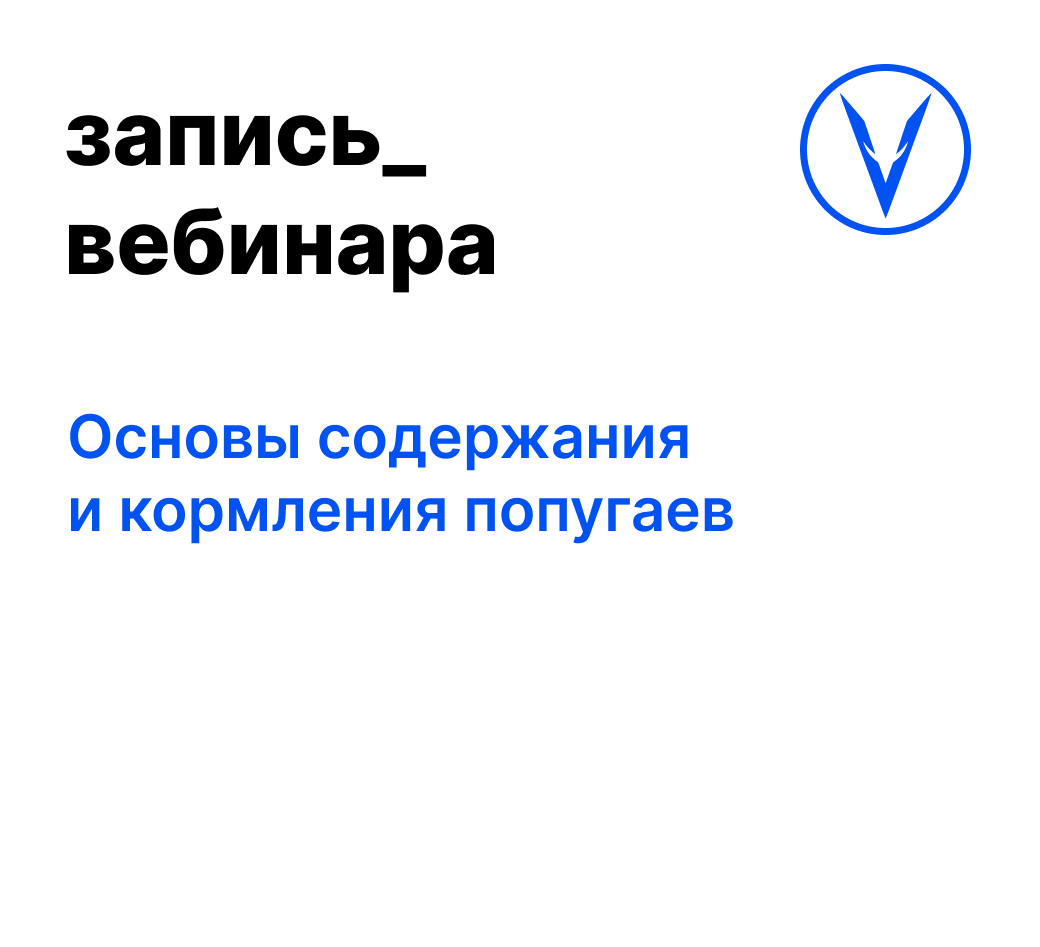 Вебинар: Основы содержания и кормления попугаев
