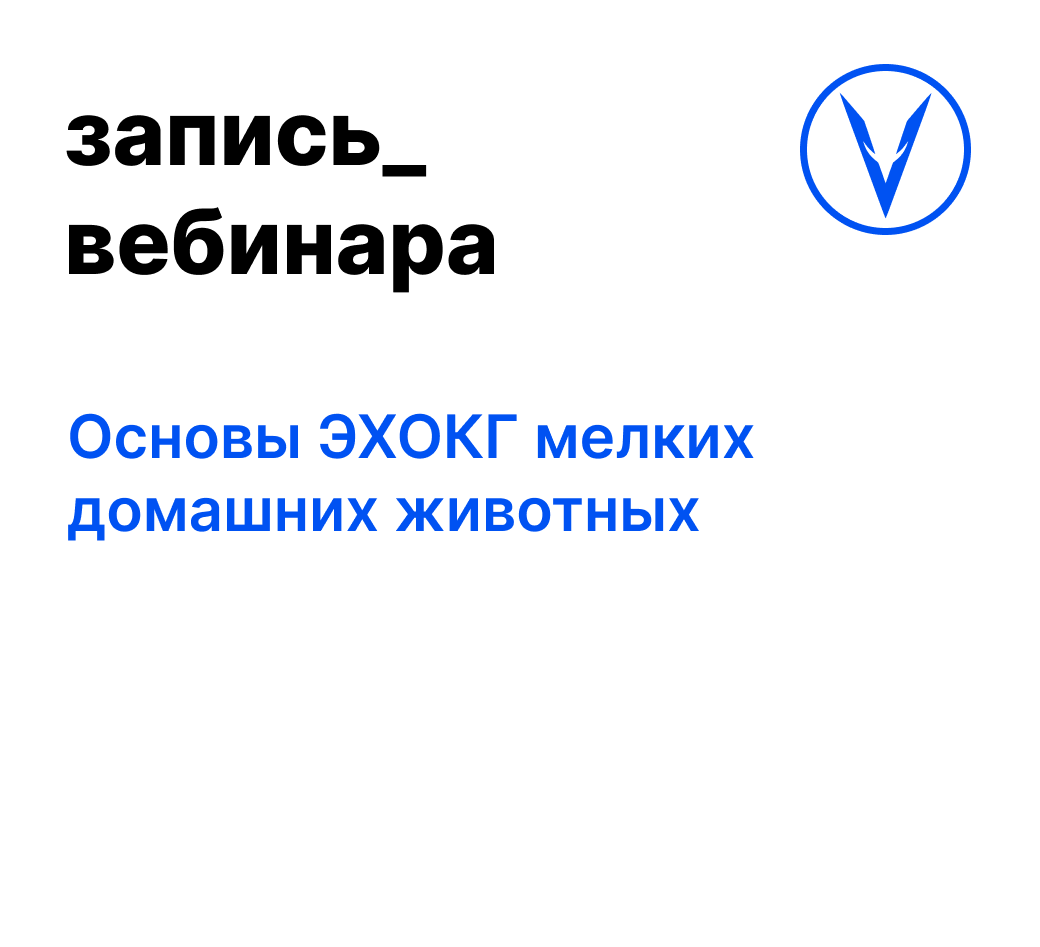 Вебинар: Основы ЭХОКГ мелких домашних животных