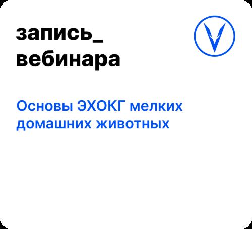Вебинар: Основы ЭХОКГ мелких домашних животных