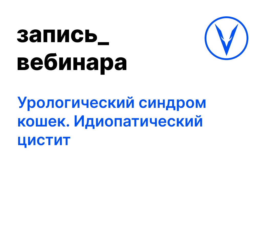 Вебинар: Урологический синдром кошек. Идиопатический цистит