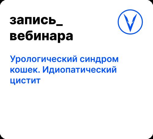 Вебинар: Урологический синдром кошек. Идиопатический цистит