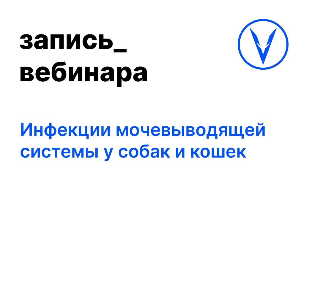 Вебинар: Инфекции мочевыводящей системы у собак и кошек