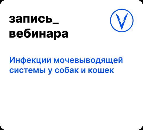 Вебинар: Инфекции мочевыводящей системы у собак и кошек