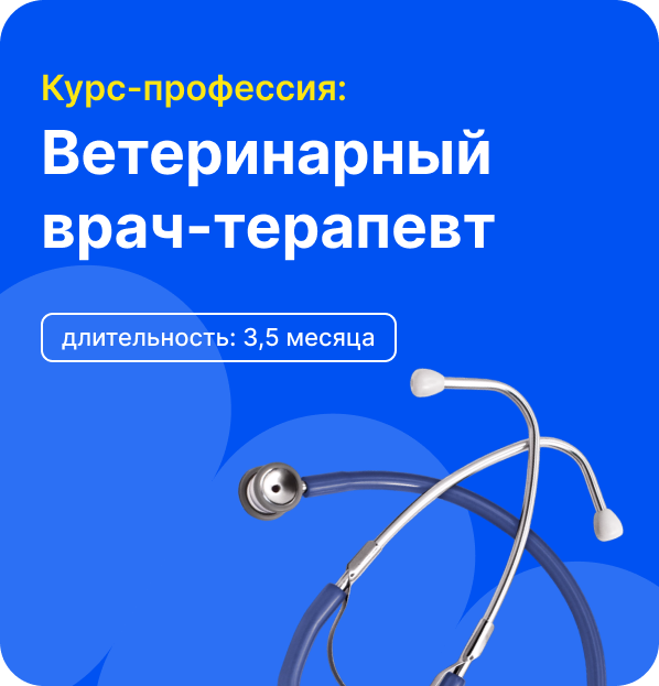 Профильный курс: Ветеринарный врач-терапевт. Тариф Оптимальный