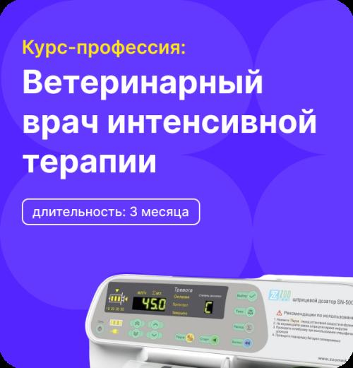 Профильный курс: Ветеринарный врач интенсивной терапии. Тариф Базовый