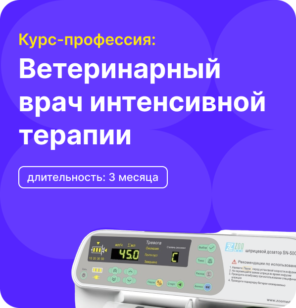 Профильный курс: Ветеринарный врач интенсивной терапии. Тариф PRO