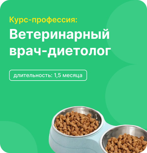 Профильный курс: Ветеринарный врач-диетолог. Тариф Базовый