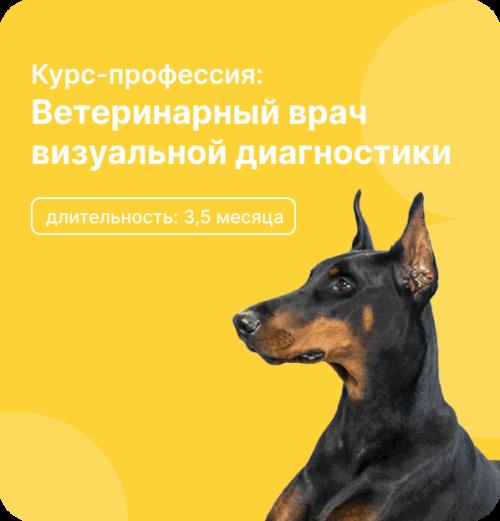 Профильный курс: Ветеринарный врач визуальной диагностики. Тариф Оптимальный