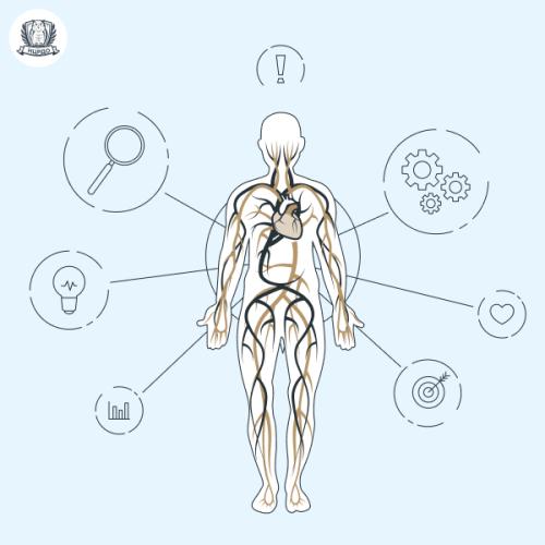 Телесная психотерапия. Обучение 15 мес. Диплом Москвы!